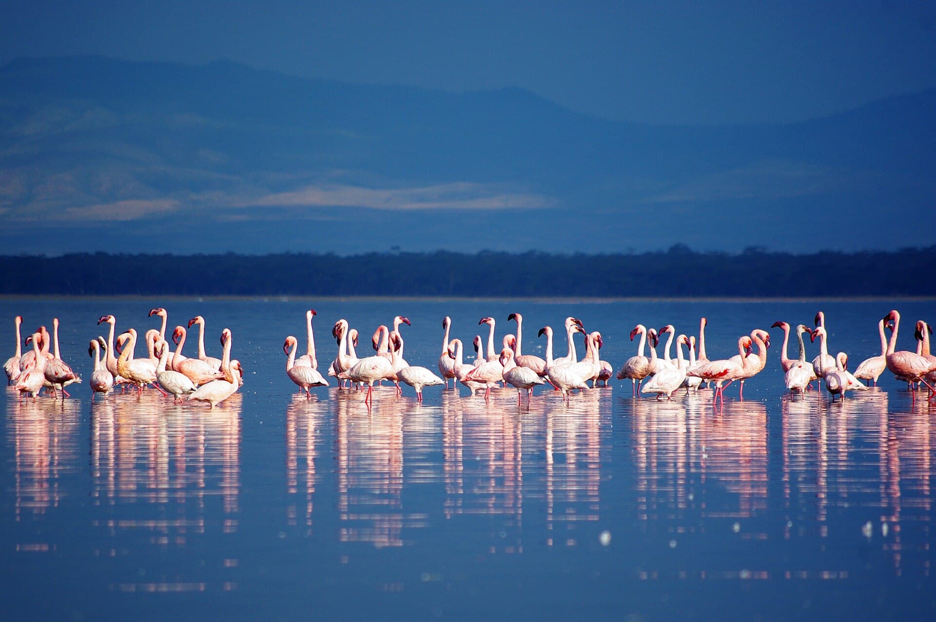 Nakuru, Rift Valley